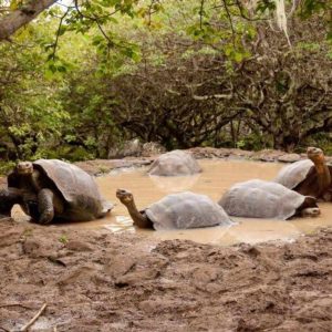 Tour to the Highlands of San Cristóbal